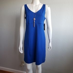 Express Blue Dress